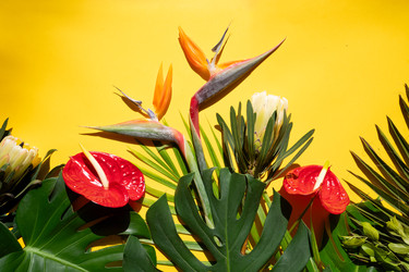 Similar image 22136964