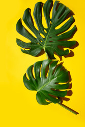 Similar image 22136966