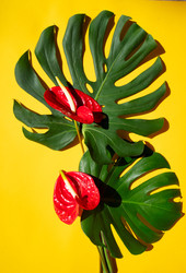 Similar image 22136969