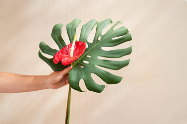 Similar image 22136970