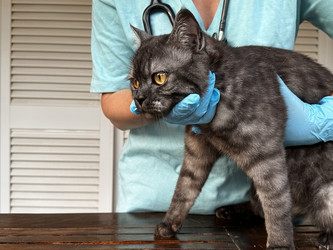 Similar image 22136976