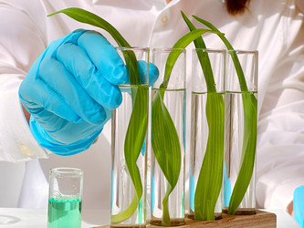 Similar image 22136978