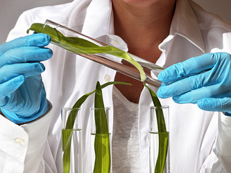 Similar image 22136980