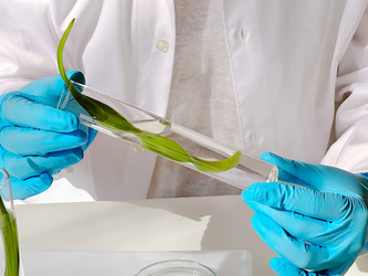 Similar image 22137158