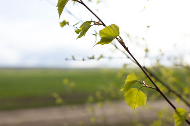 Similar image 22133369