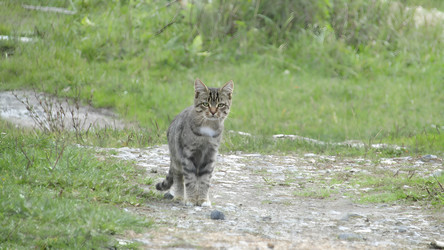 Similar image 22133089