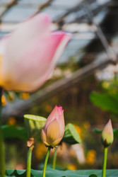 Similar image 22132683