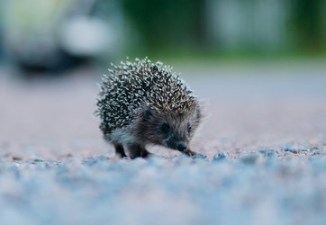 Similar image 22164494