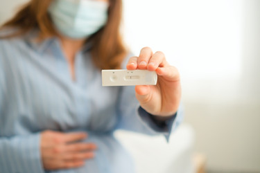 Similar image 22164498