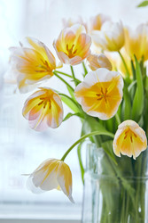 Similar image 22141016