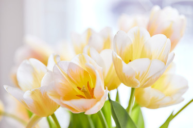 Similar image 22141020