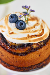 Similar image 22141021