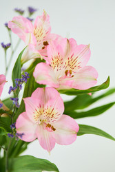 Similar image 22141027