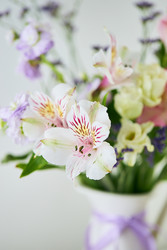 Similar image 22141029