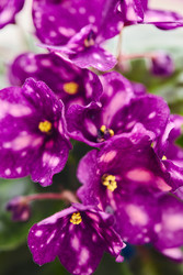 Similar image 22141045