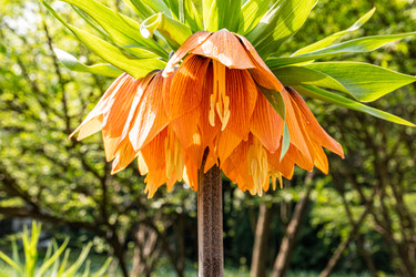 Similar image 22134632