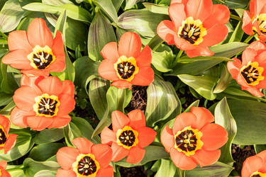 Similar image 22134633