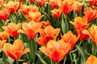 Similar image 22134634