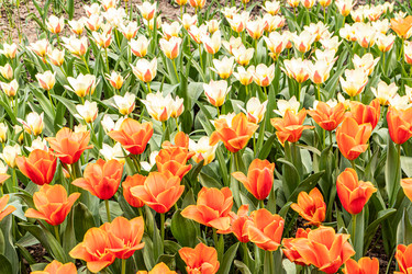 Similar image 22134635