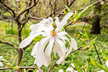 Similar image 22134637