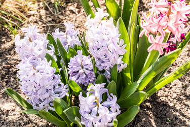 Similar image 22134638