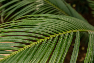 Similar image 22134640