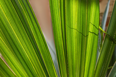 Similar image 22134641