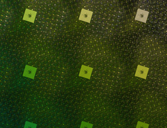 Similar image 22136256