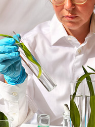 Similar image 22137418