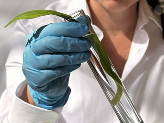 Similar image 22137420