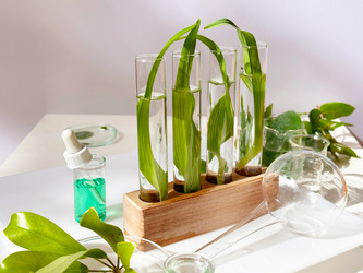 Similar image 22137422