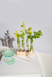 Similar image 22137430