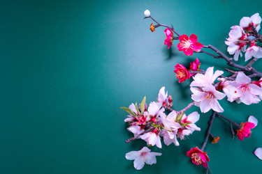 Similar image 22136869