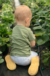 Similar image 22164503