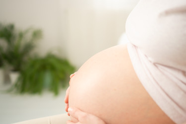 Similar image 22164511