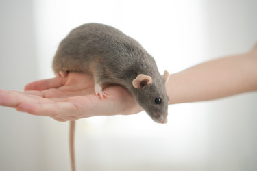 Similar image 22164512