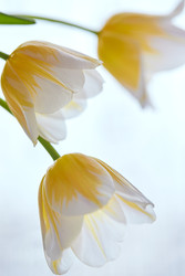 Similar image 22141081