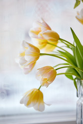 Similar image 22141083