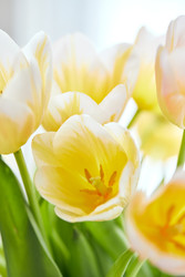 Similar image 22141085