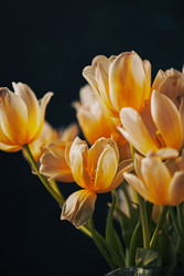 Similar image 22141093