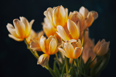 Similar image 22141095