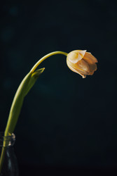 Similar image 22141097