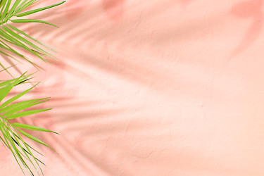 Similar image 22132769