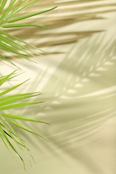 Similar image 22132770