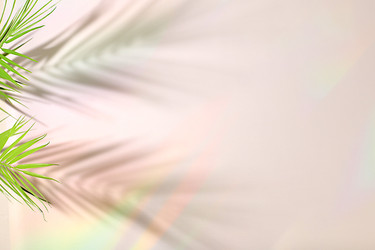 Similar image 22132771