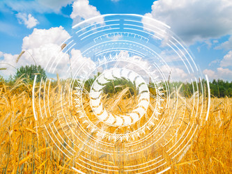 Similar image 22137166