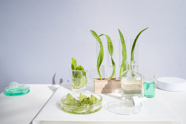 Similar image 22137176