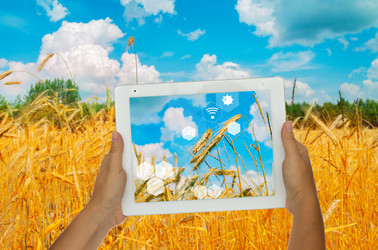 Similar image 22137184