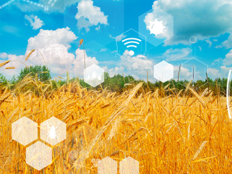 Similar image 22137186