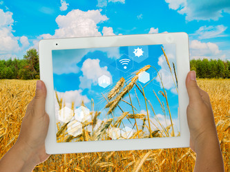 Similar image 22137192